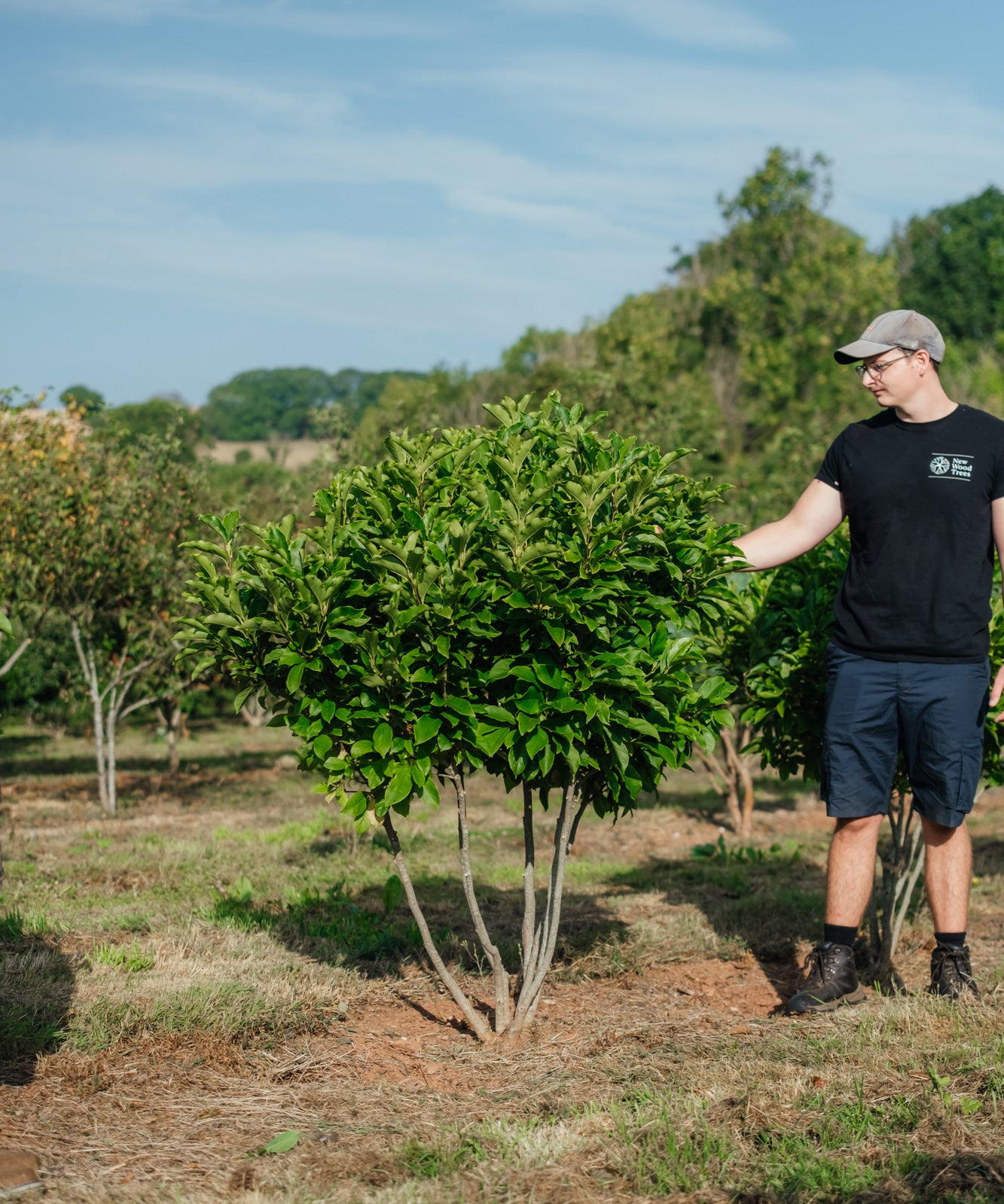 NWT Stock photos 25 26