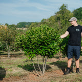 NWT Stock photos 25 26