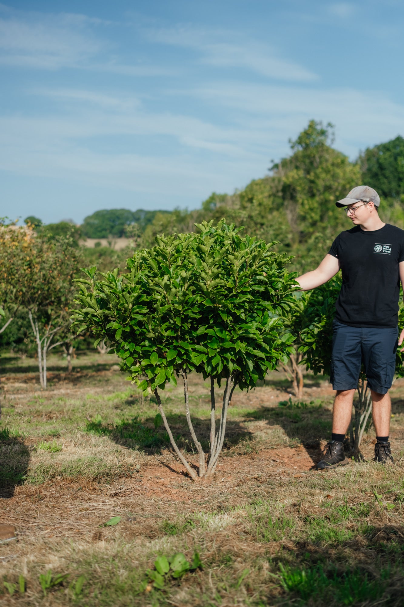 NWT Stock photos 25 26