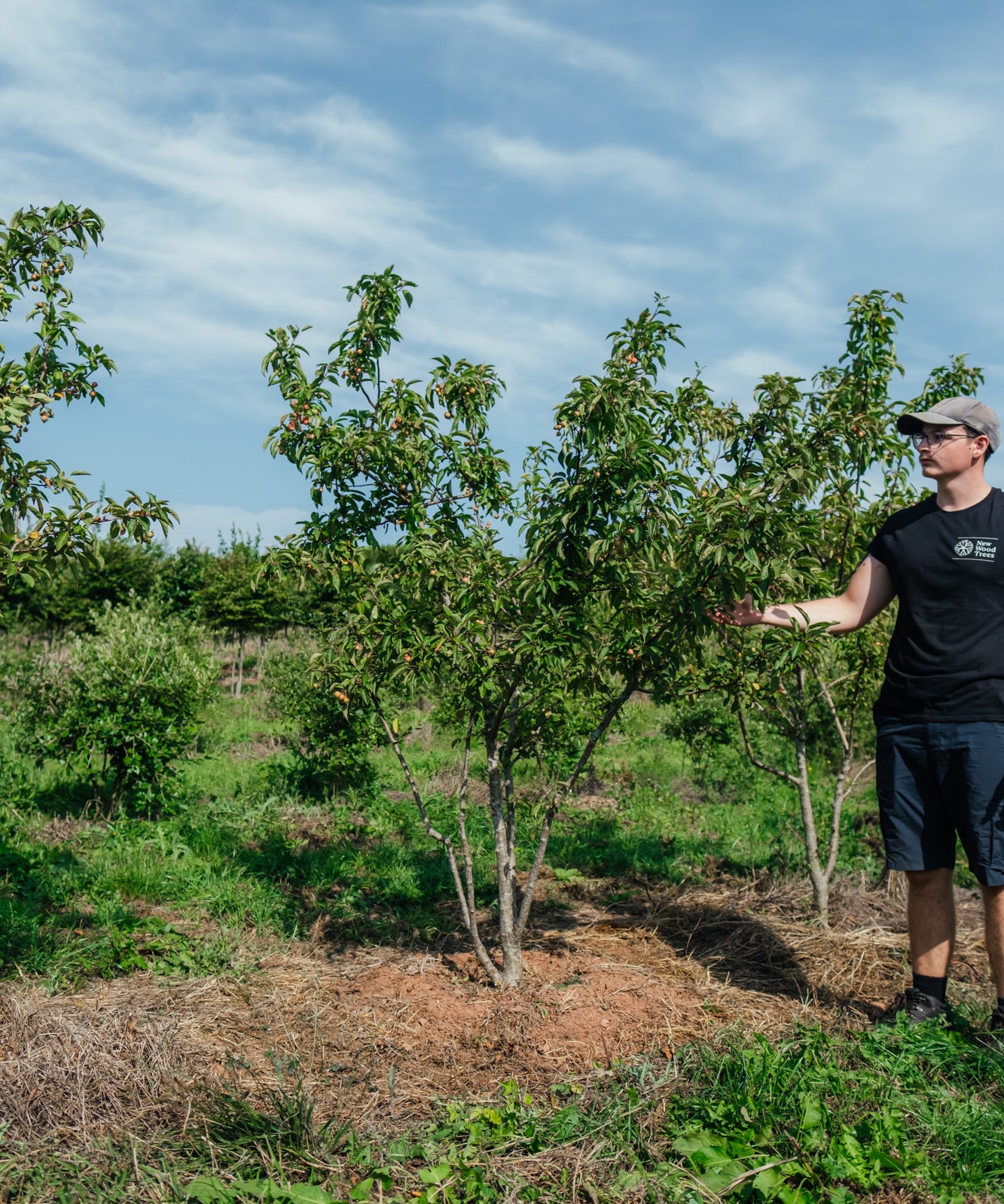 NWT Stock photos 25 26