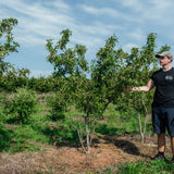 NWT Stock photos 25 26