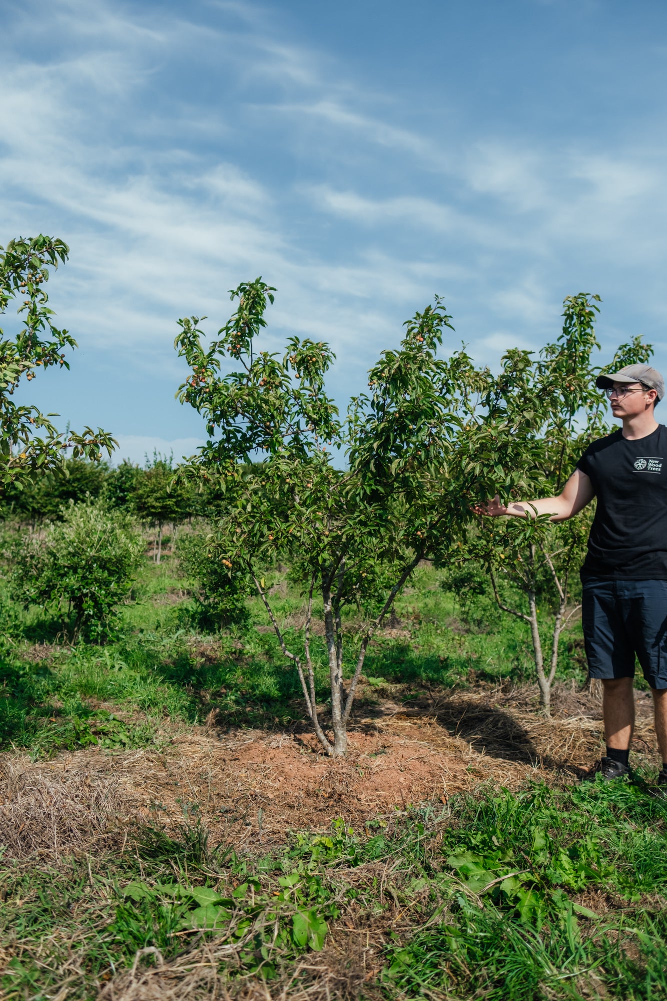 NWT Stock photos 25 26