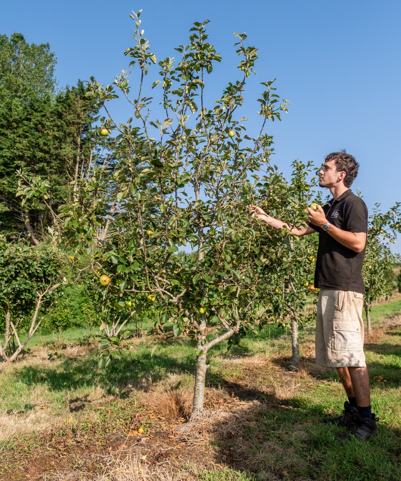 NWT Stock photos 25 26