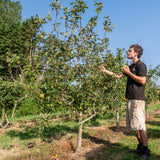 NWT Stock photos 25 26