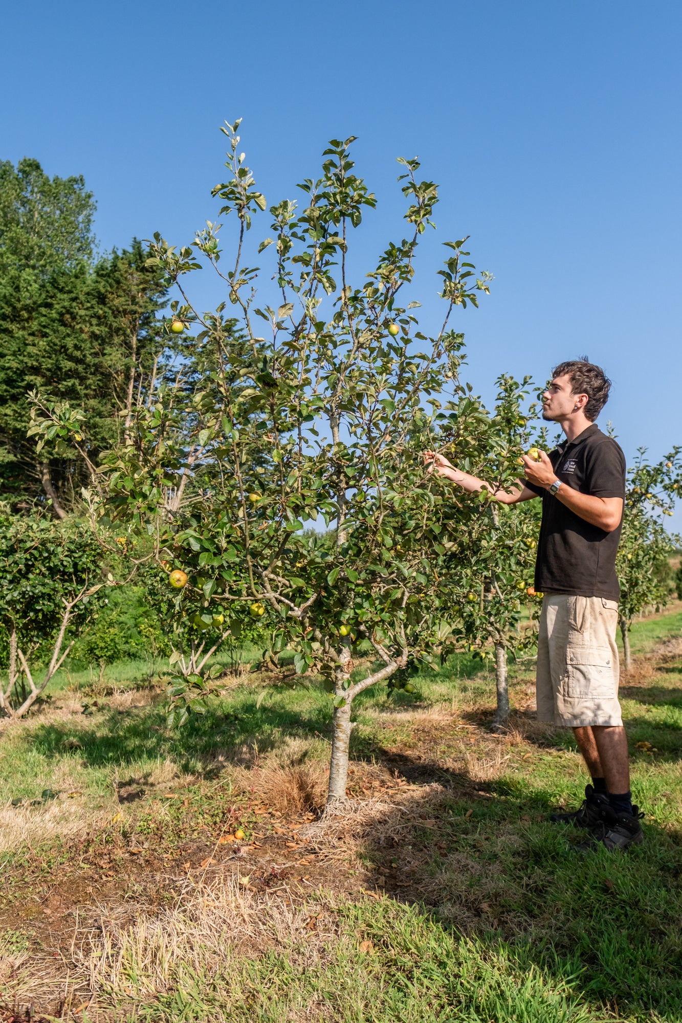 NWT Stock photos 25 26