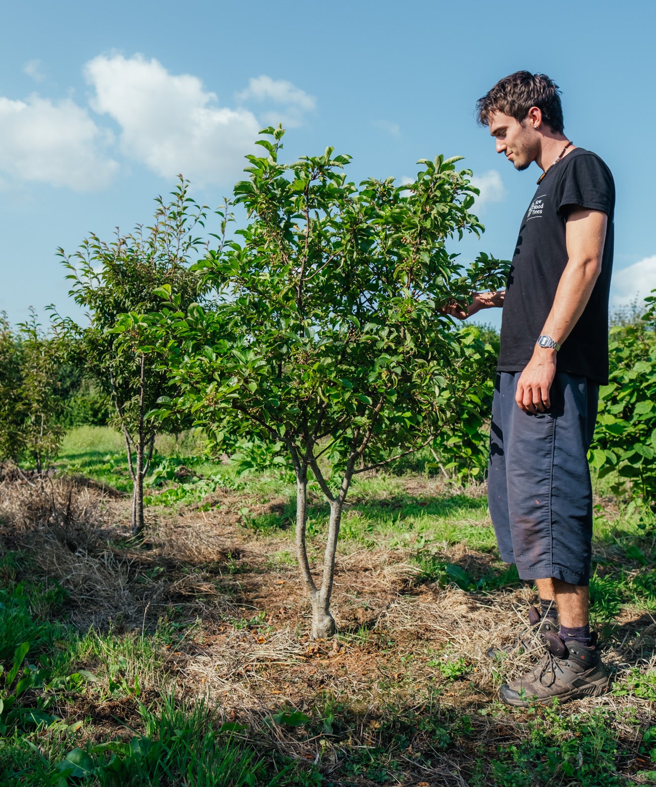 NWT Stock photos 25 26