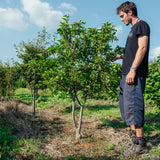 NWT Stock photos 25 26