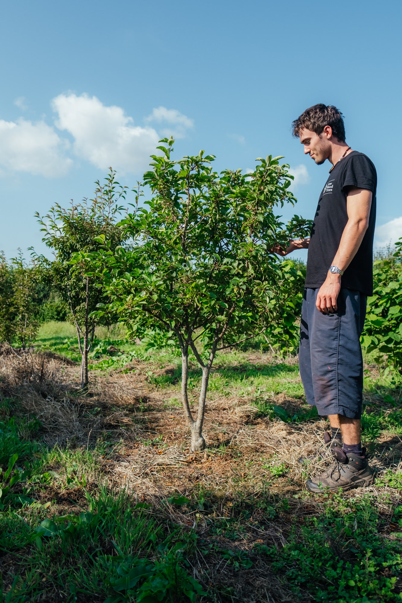 NWT Stock photos 25 26