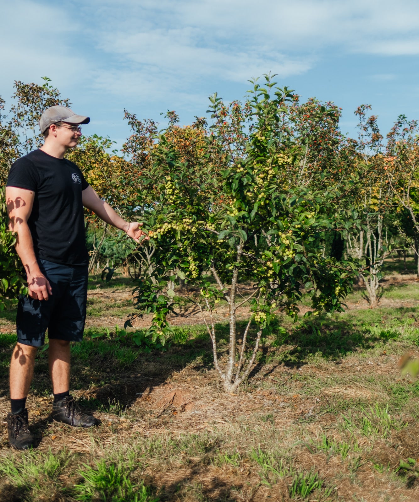 NWT Stock photos 25 26