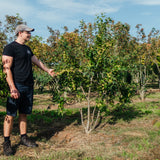 NWT Stock photos 25 26