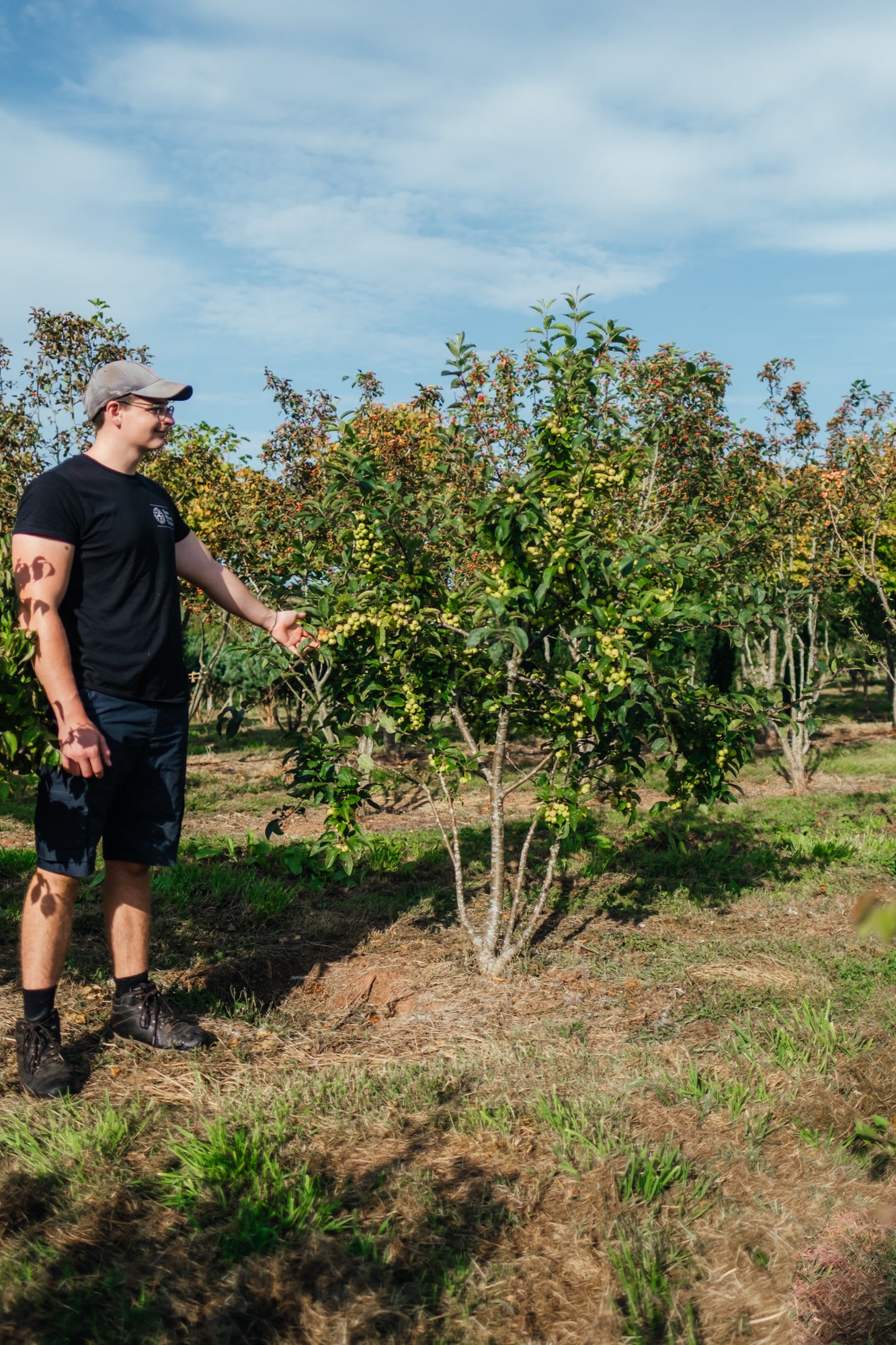 NWT Stock photos 25 26