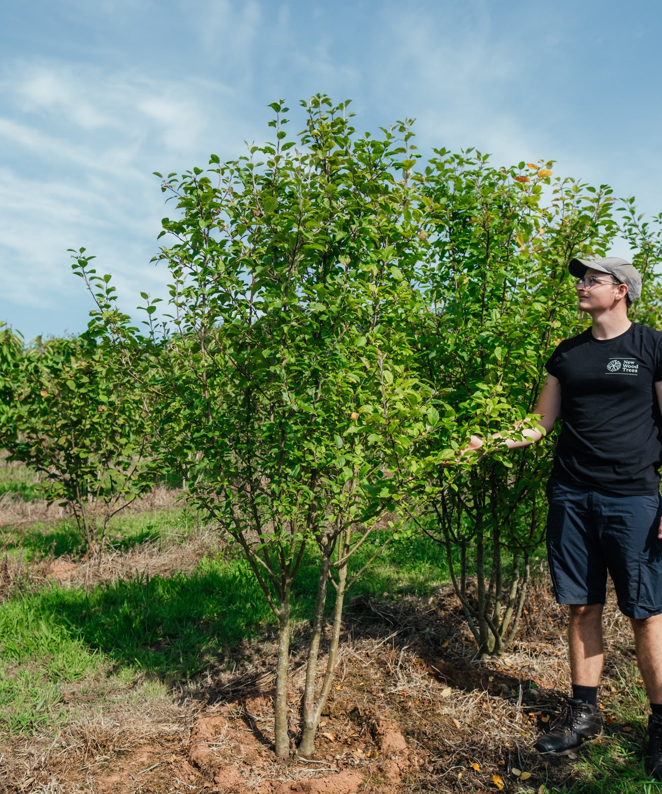 NWT Stock photos 25 26