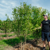 NWT Stock photos 25 26