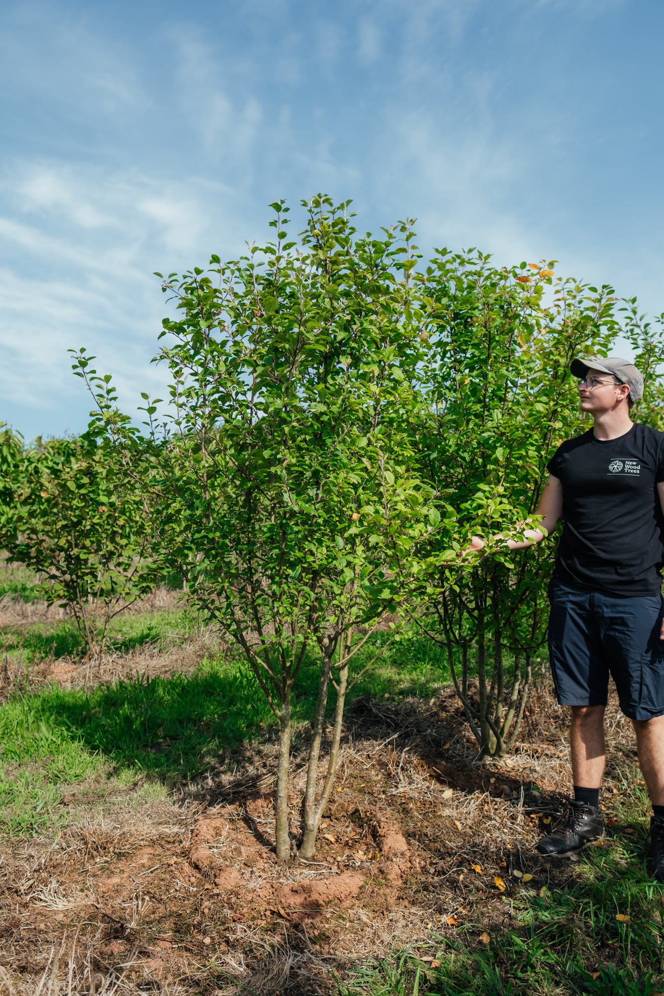 NWT Stock photos 25 26