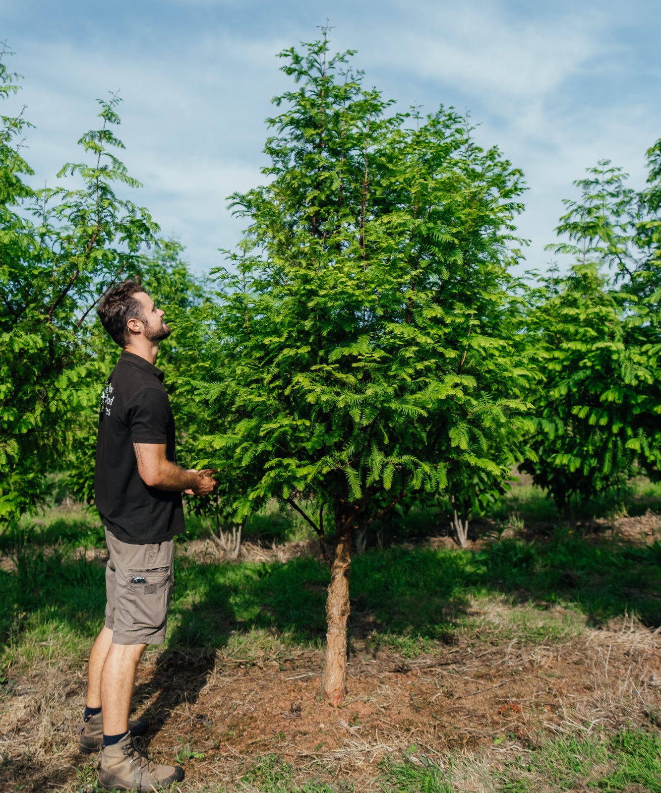 NWT Stock photos 25 26