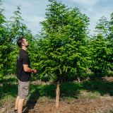 NWT Stock photos 25 26