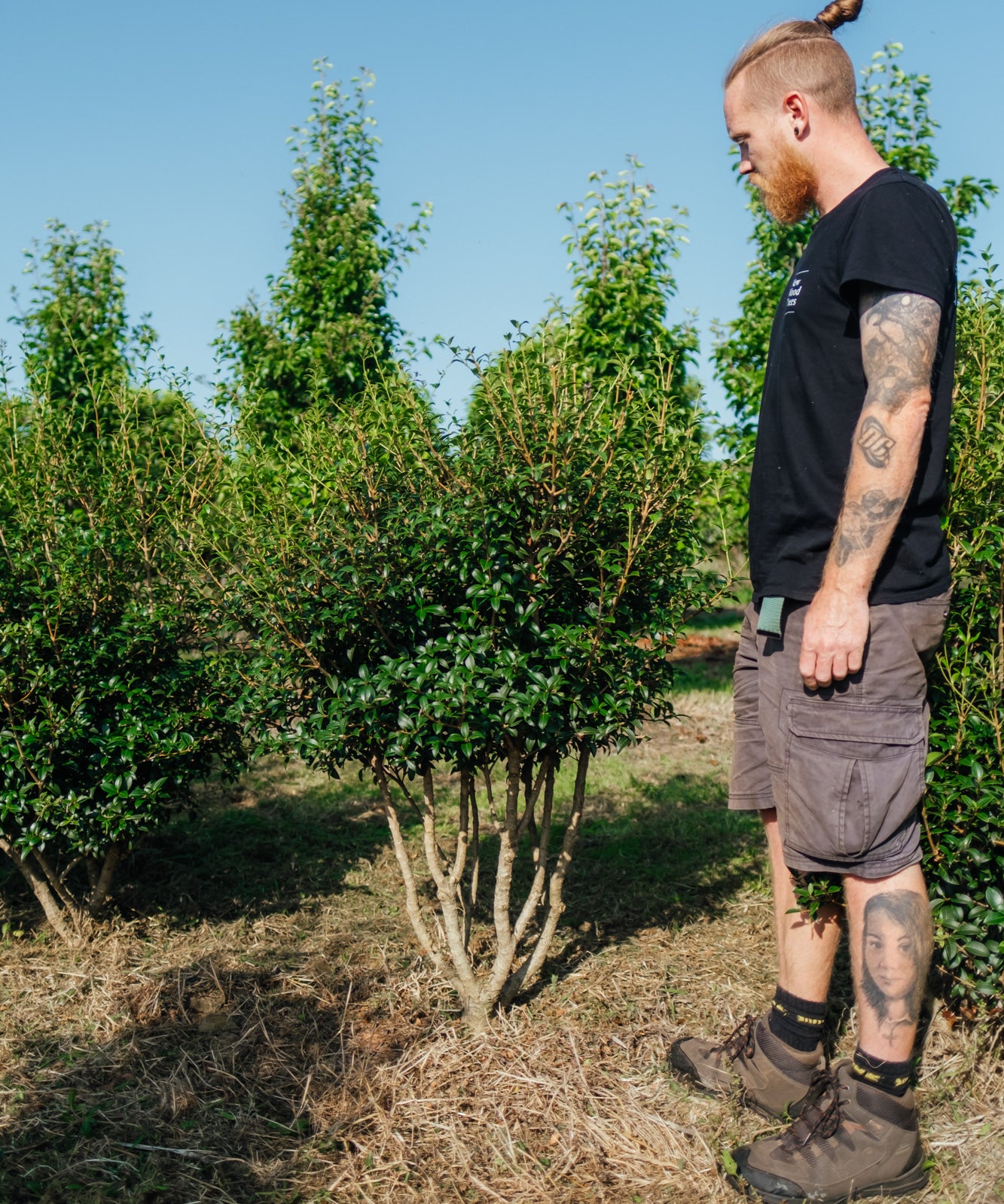 NWT Stock photos 25 26