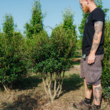 NWT Stock photos 25 26