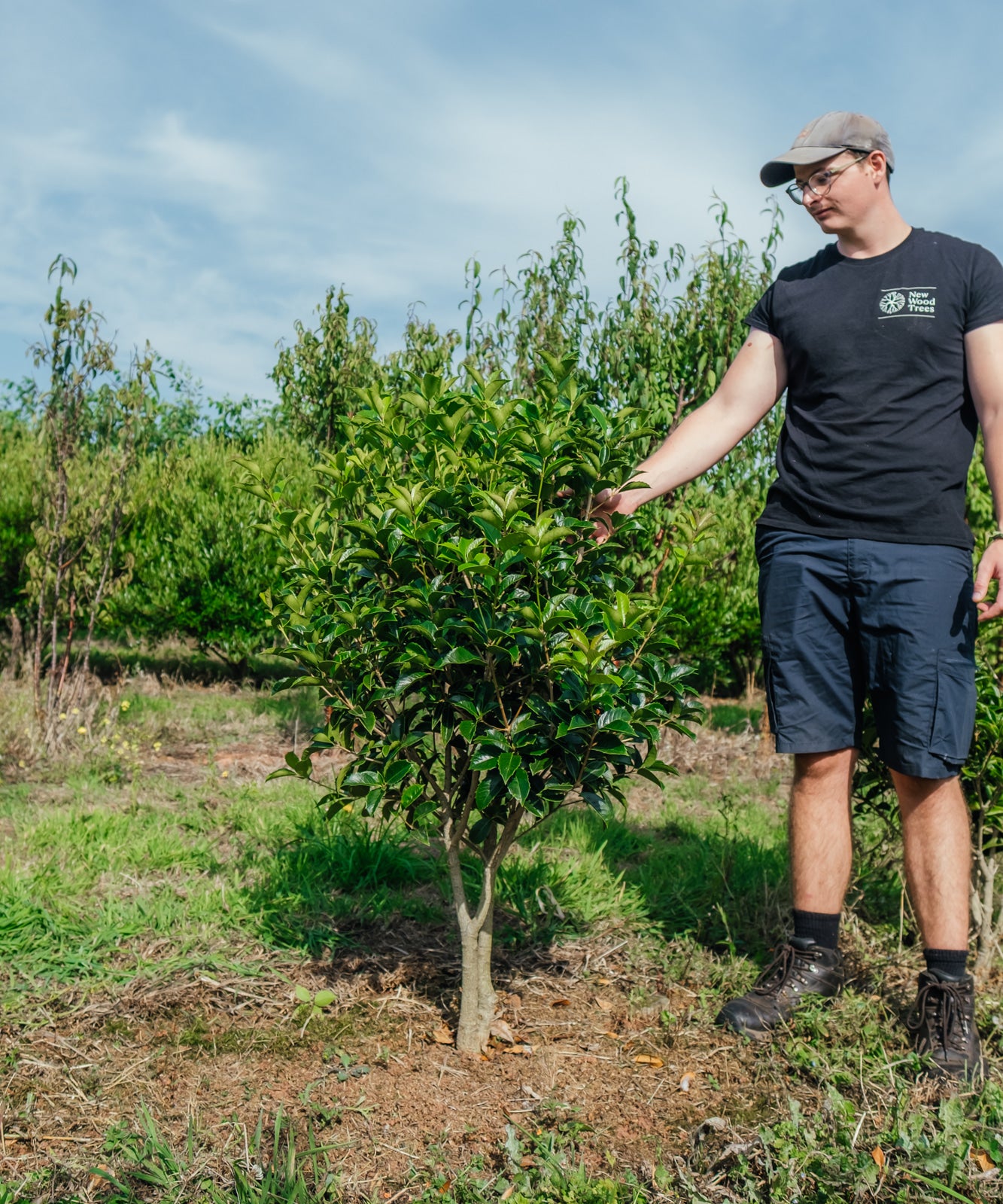 NWT Stock photos 25 26