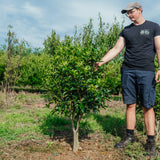 NWT Stock photos 25 26