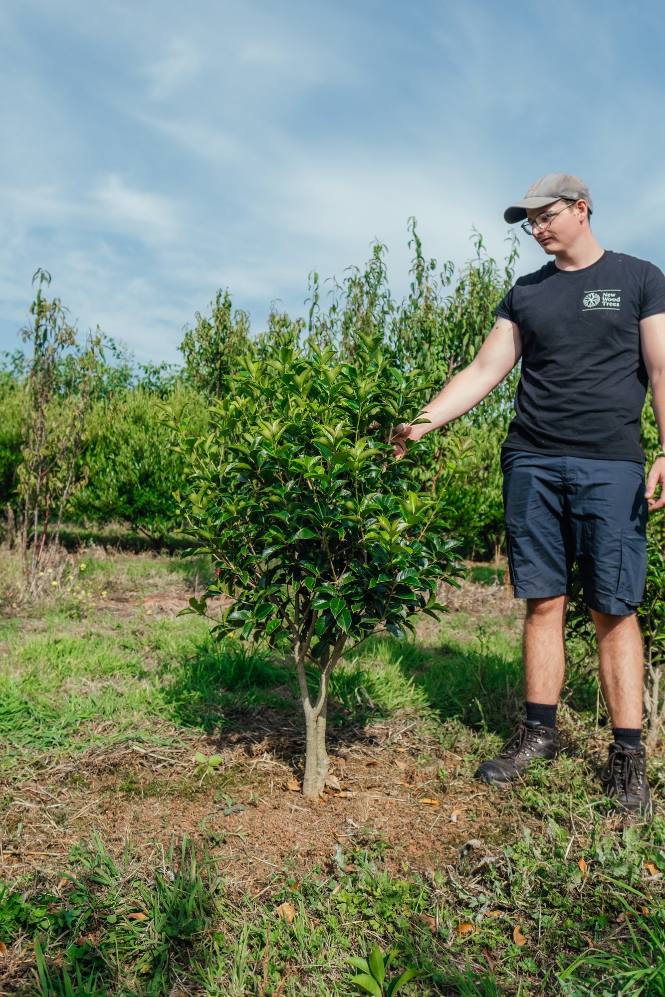 NWT Stock photos 25 26