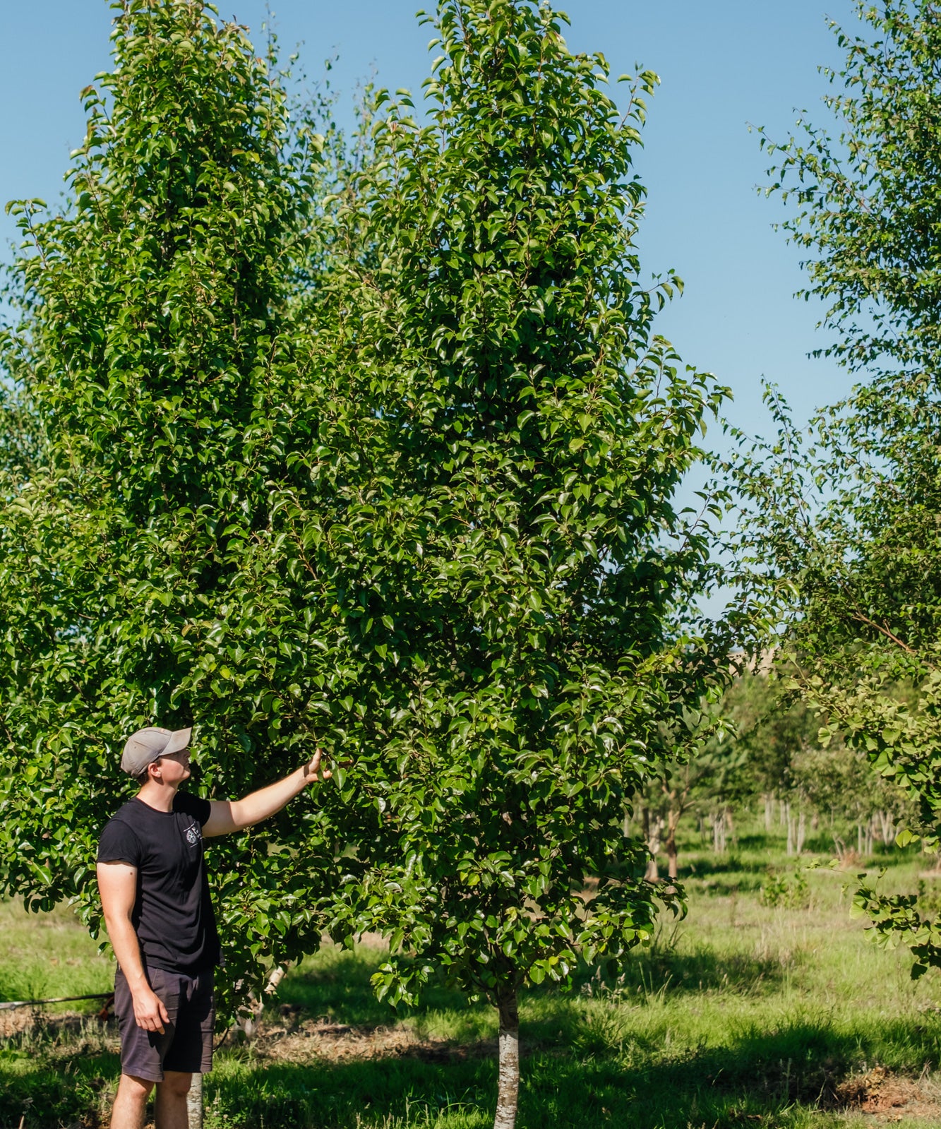 NWT Stock photos 25 26