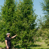 NWT Stock photos 25 26