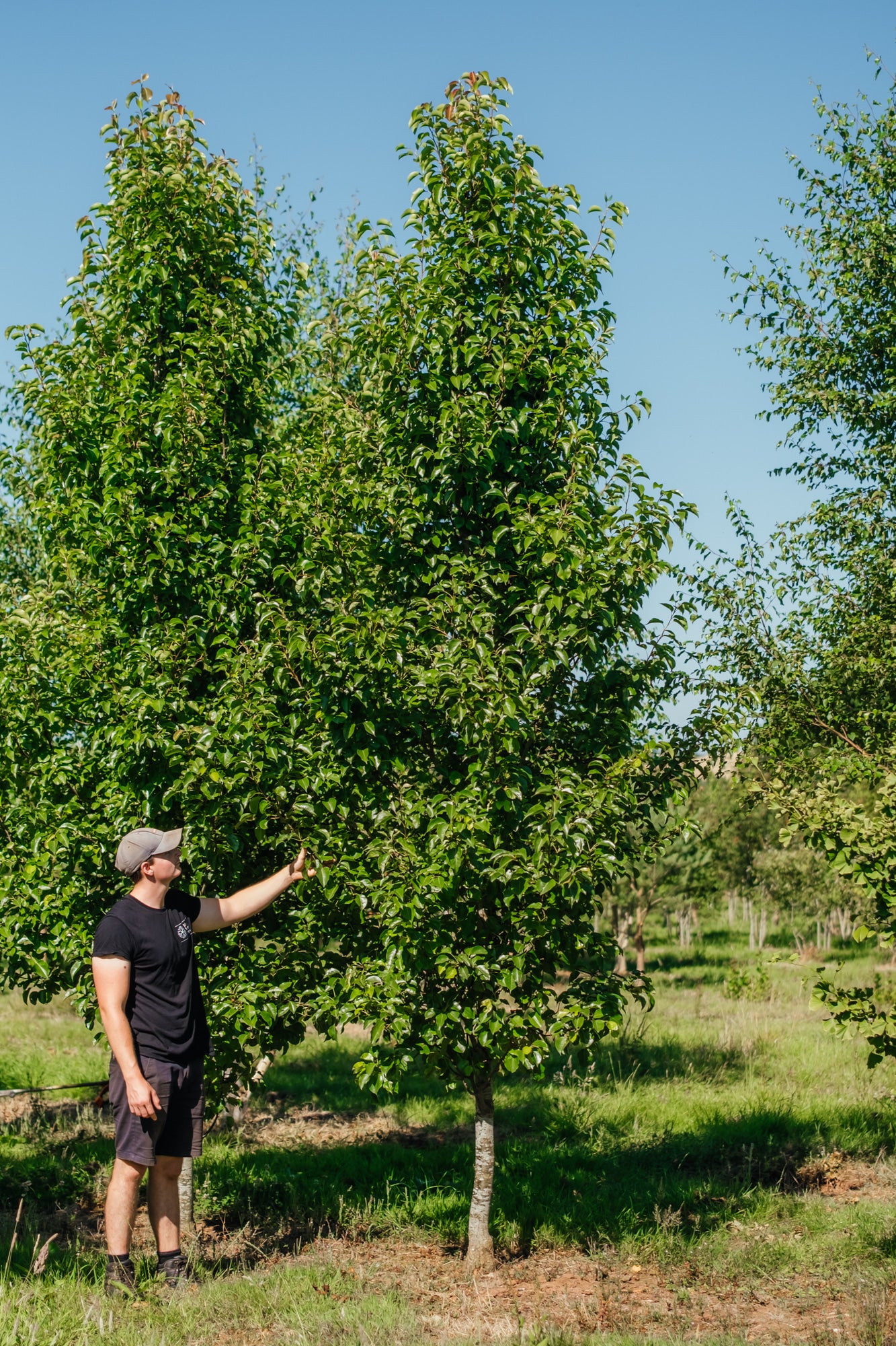 NWT Stock photos 25 26