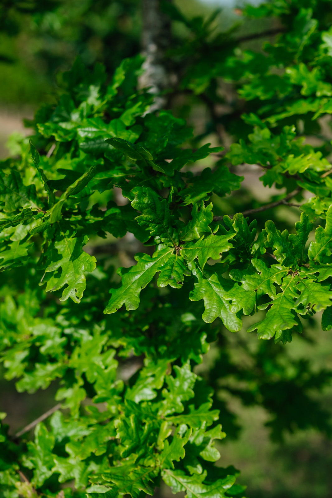 NWT 2024 Stock photos