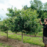 NWT 2024 Stock photos