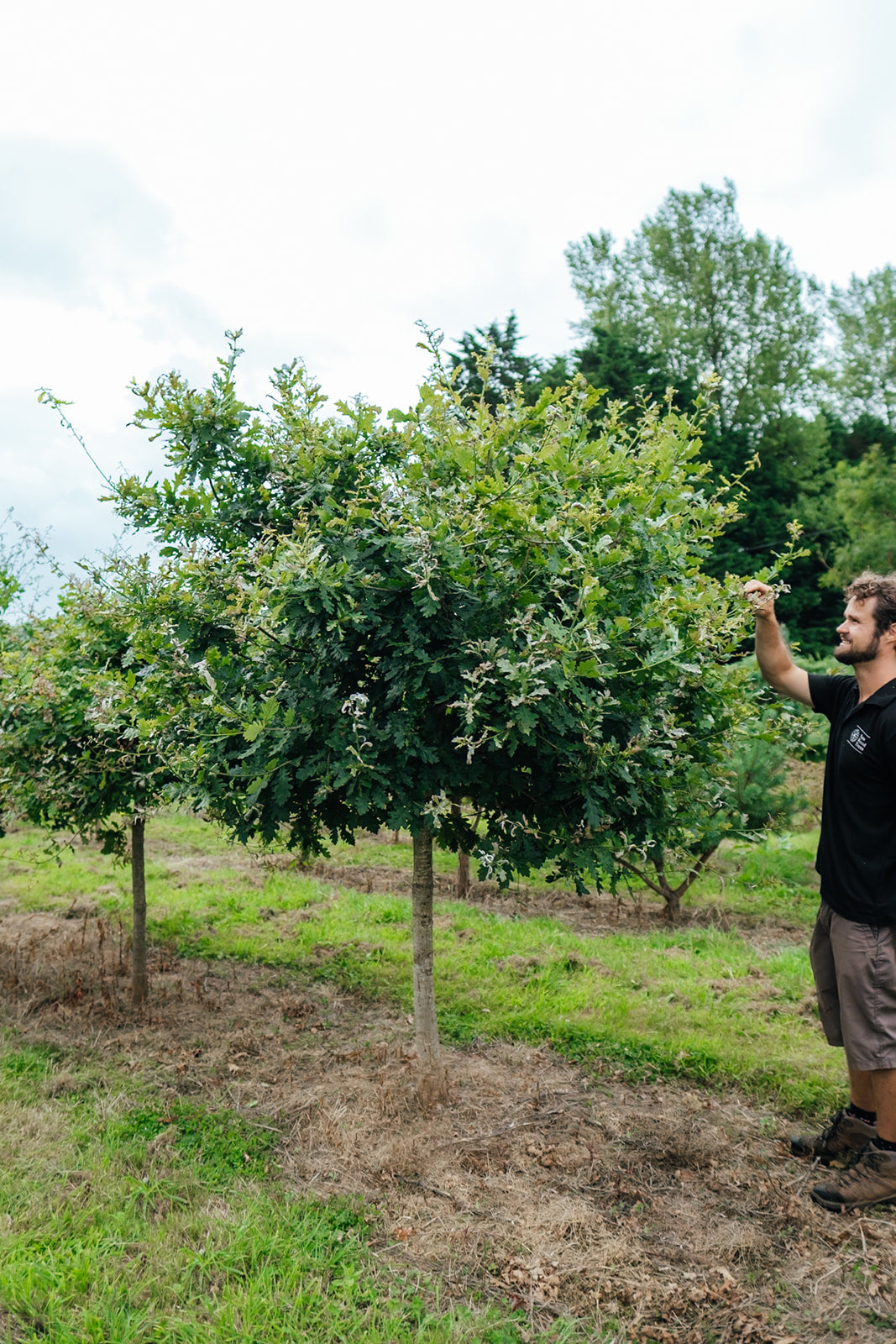 NWT 2024 Stock photos