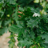 NWT 2024 Stock photos