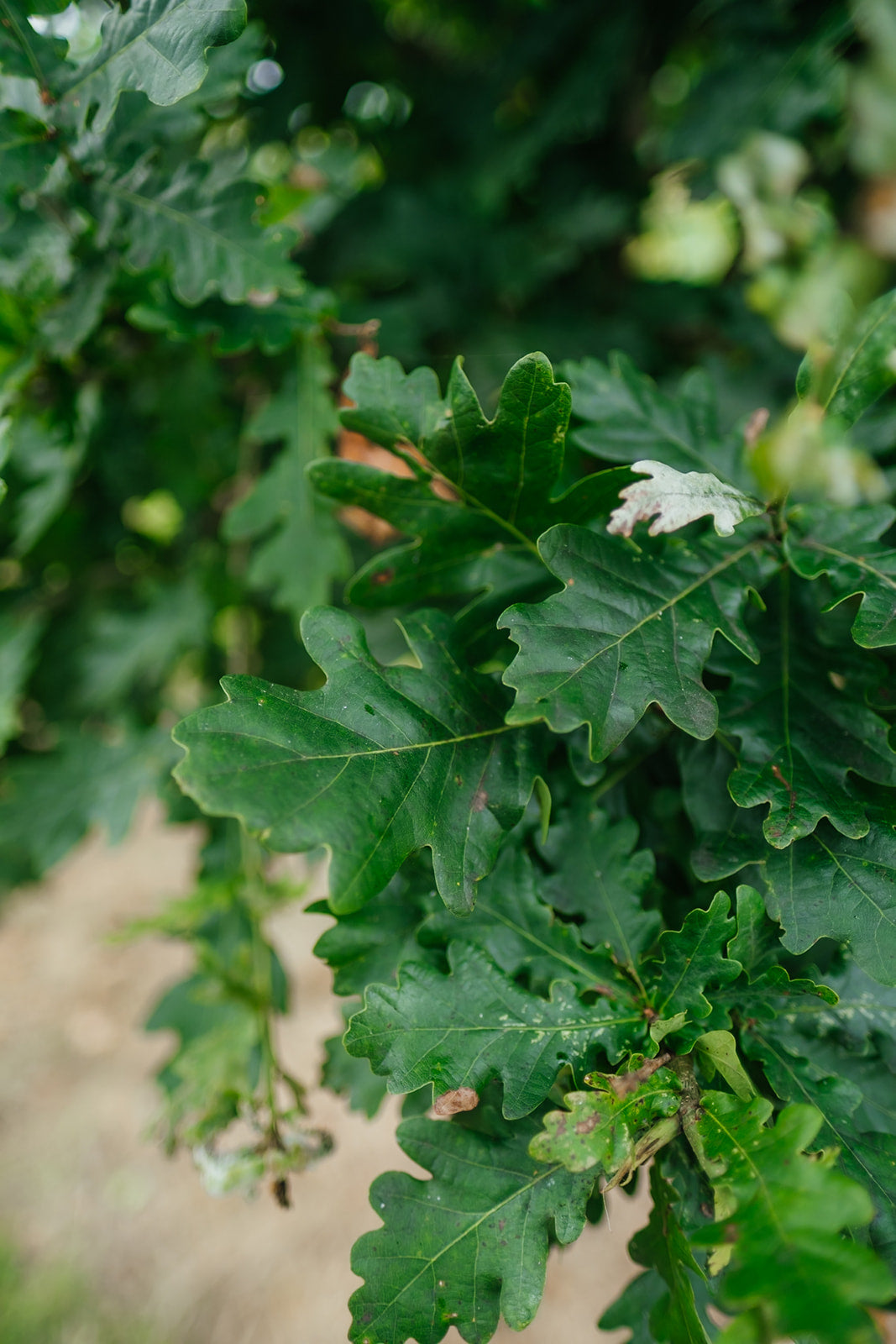 NWT 2024 Stock photos