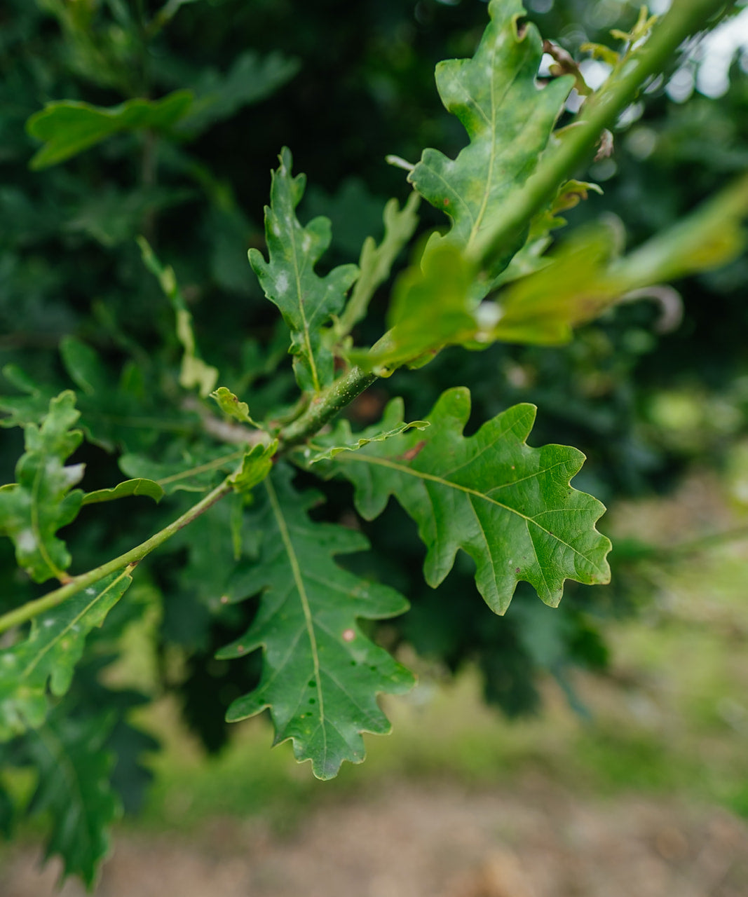 NWT 2024 Stock photos