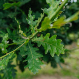 NWT 2024 Stock photos