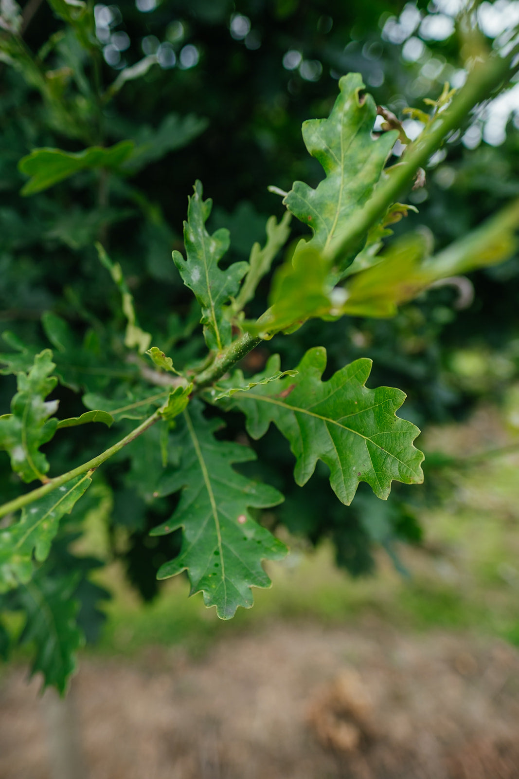 NWT 2024 Stock photos