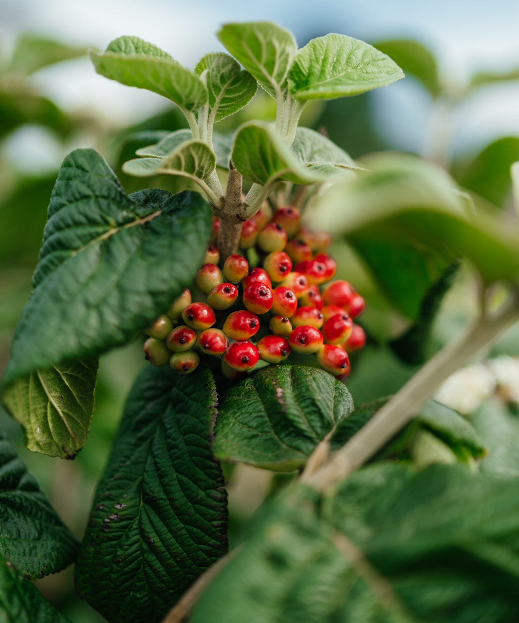 NWT 2024 Stock photos