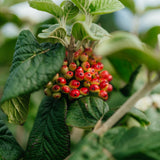 NWT 2024 Stock photos