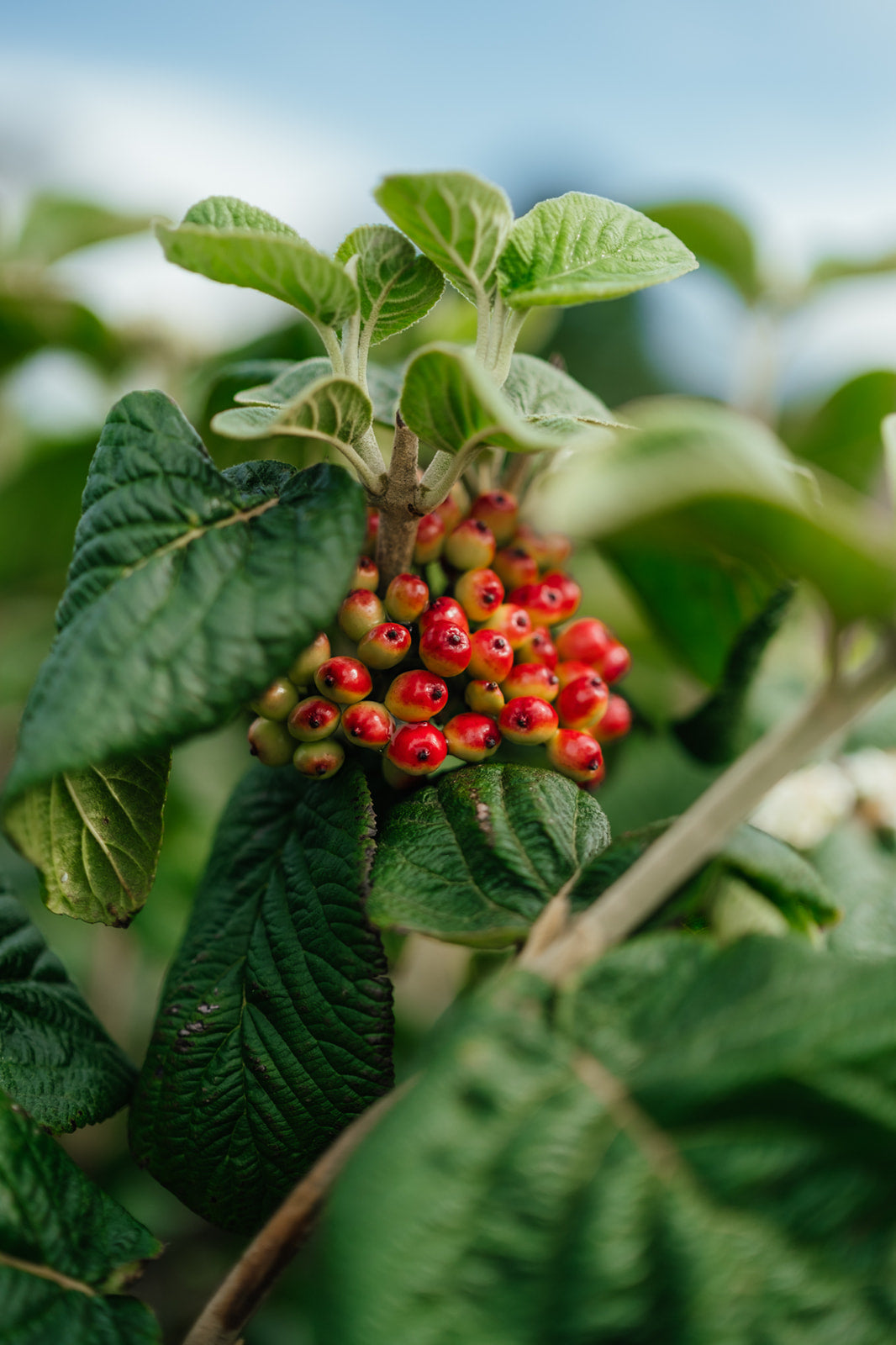 NWT 2024 Stock photos