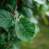 NWT 2024 Stock photos