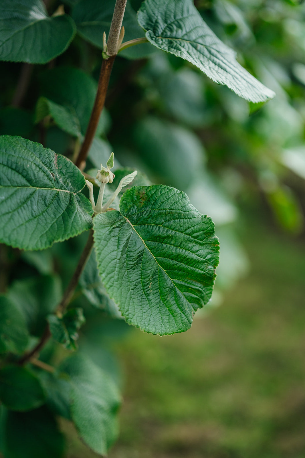 NWT 2024 Stock photos