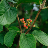 NWT 2024 Stock photos