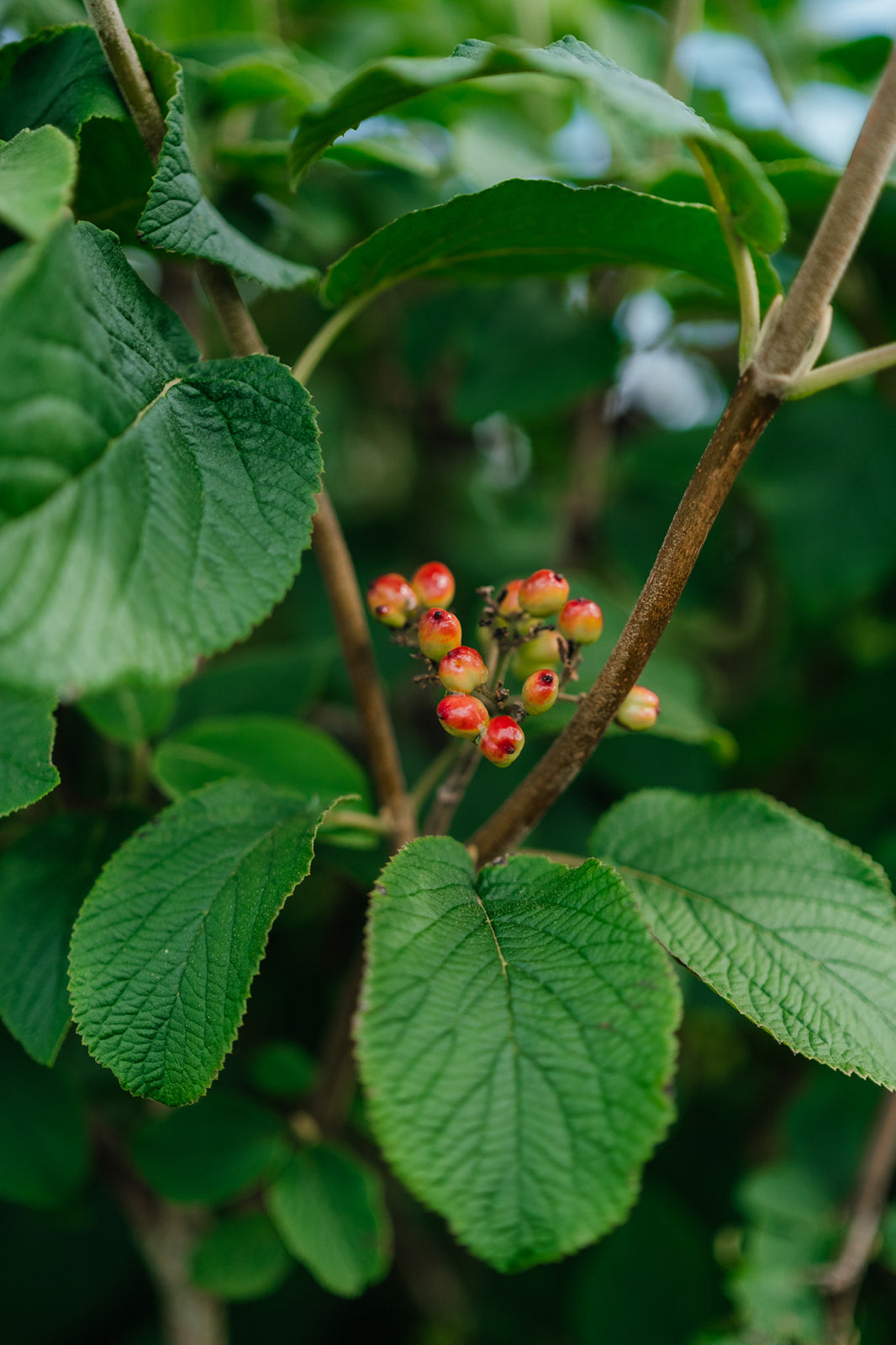 NWT 2024 Stock photos
