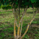 NWT 2024 Stock photos