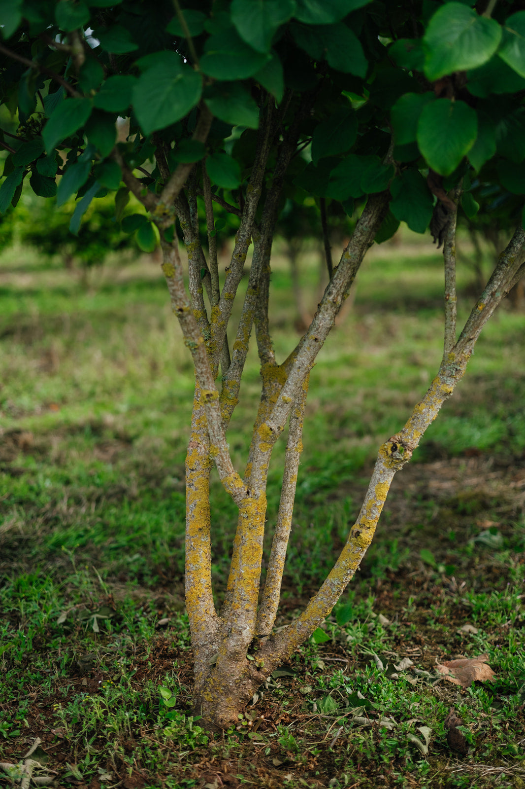 NWT 2024 Stock photos