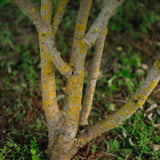 NWT 2024 Stock photos