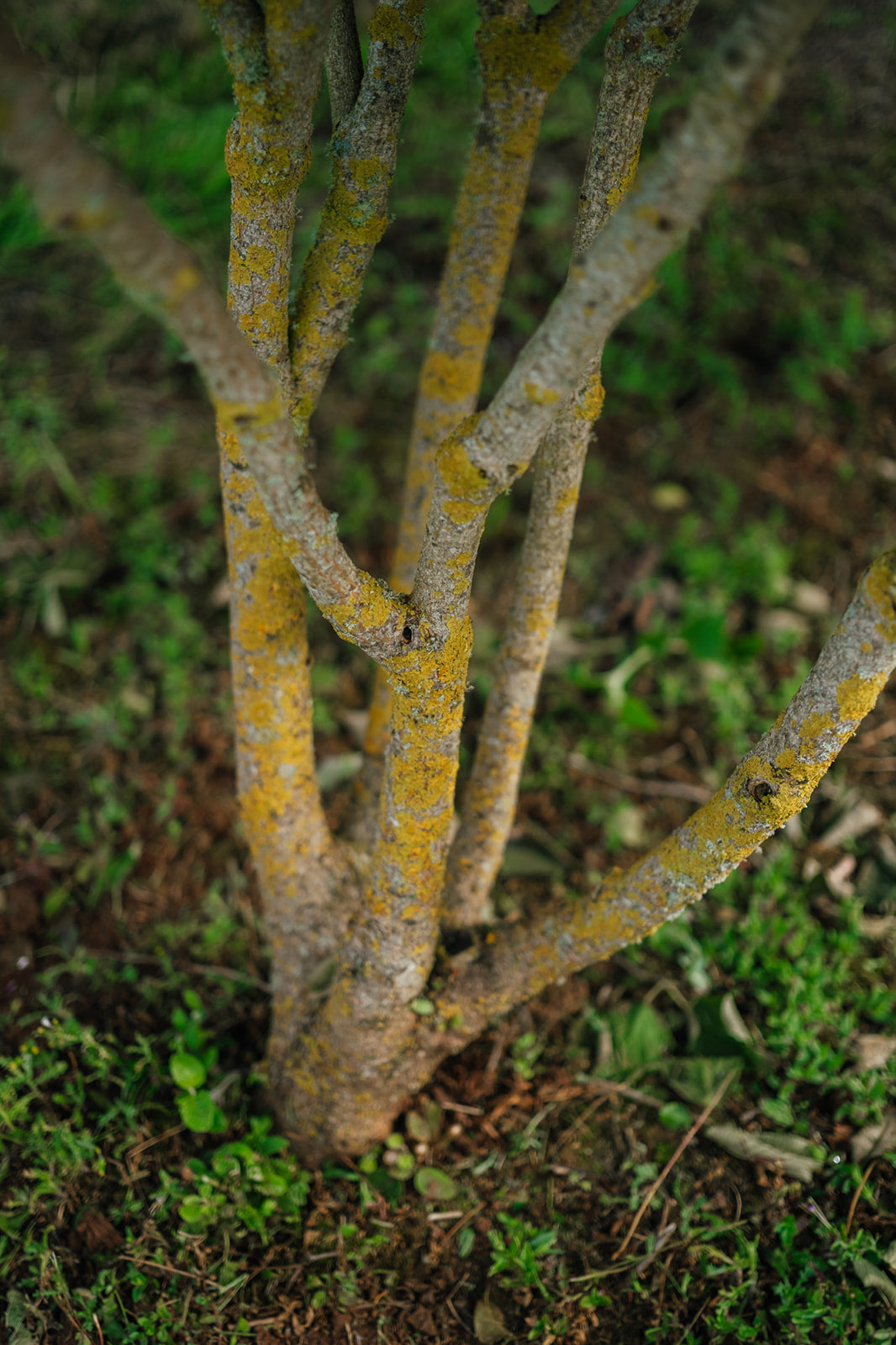 NWT 2024 Stock photos