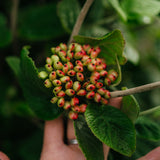 NWT 2024 Stock photos