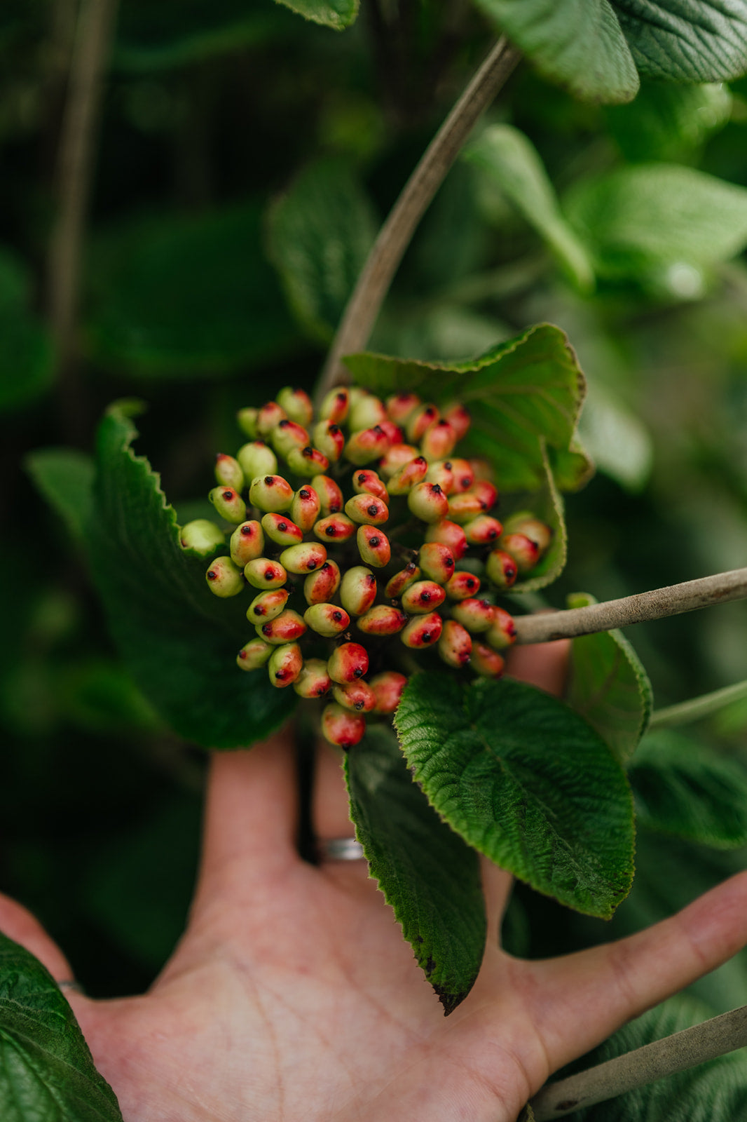 NWT 2024 Stock photos