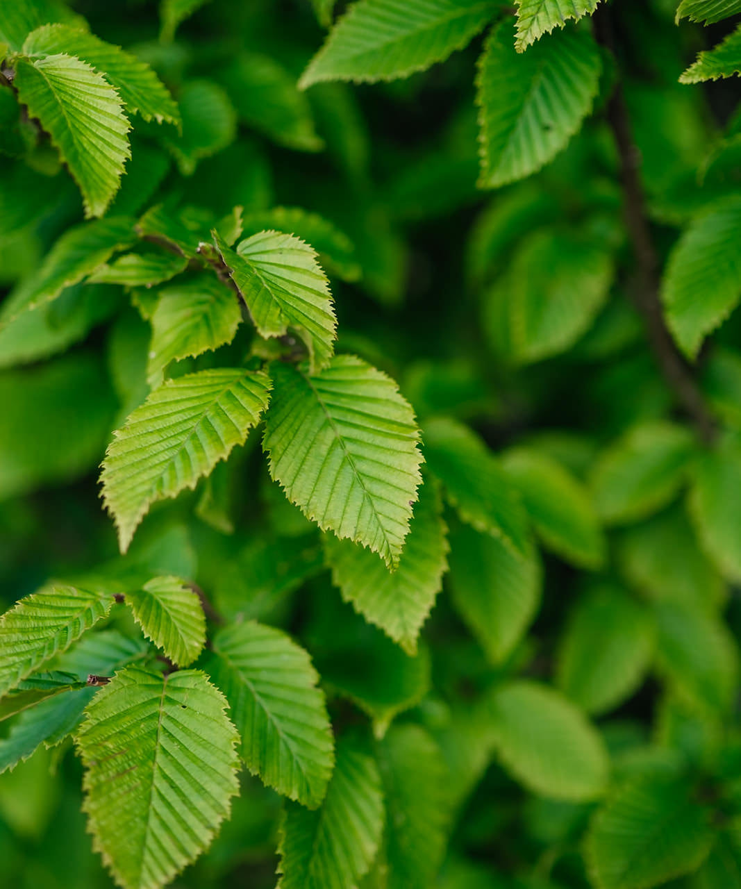 NWT 2024 Stock photos